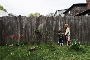 spying through fence