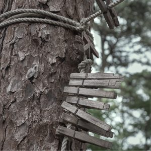 tree with clothespins