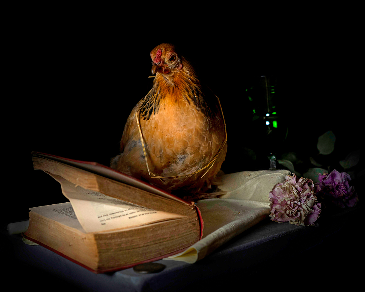 chicken on book with flowers