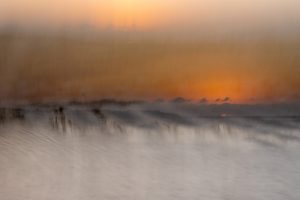 dunes at sunset