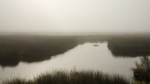 river and marsh