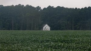 house in a field