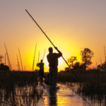 boger - Okavango Delta