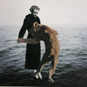 Collage image of a woman and dog over water